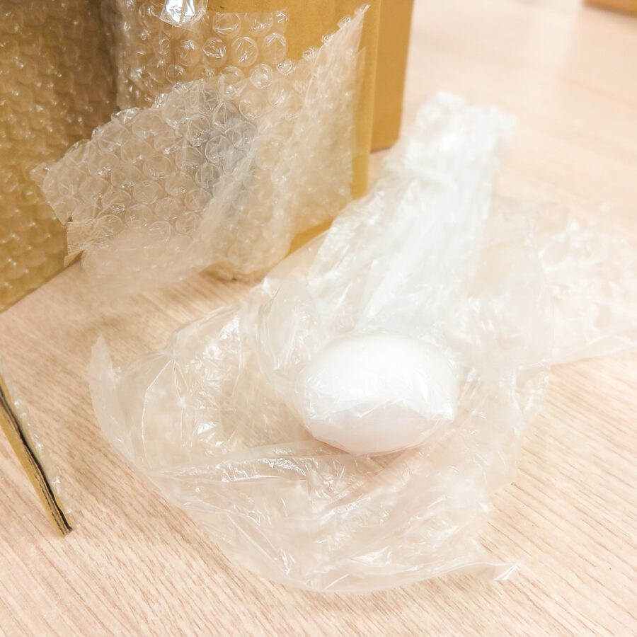 生卵を送ってみよう
