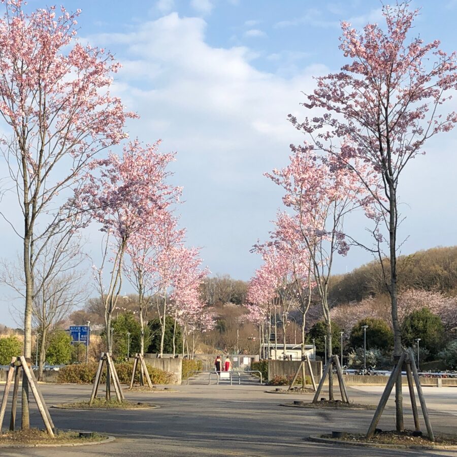 卒業おめでとうございます