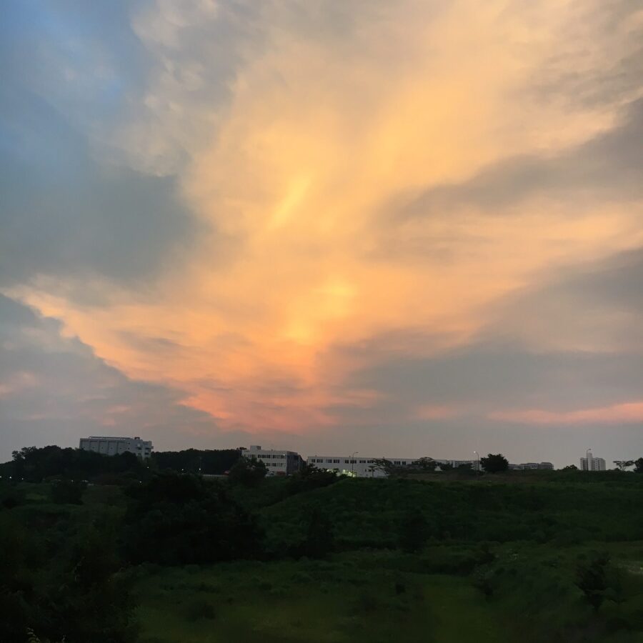 今日の夕景