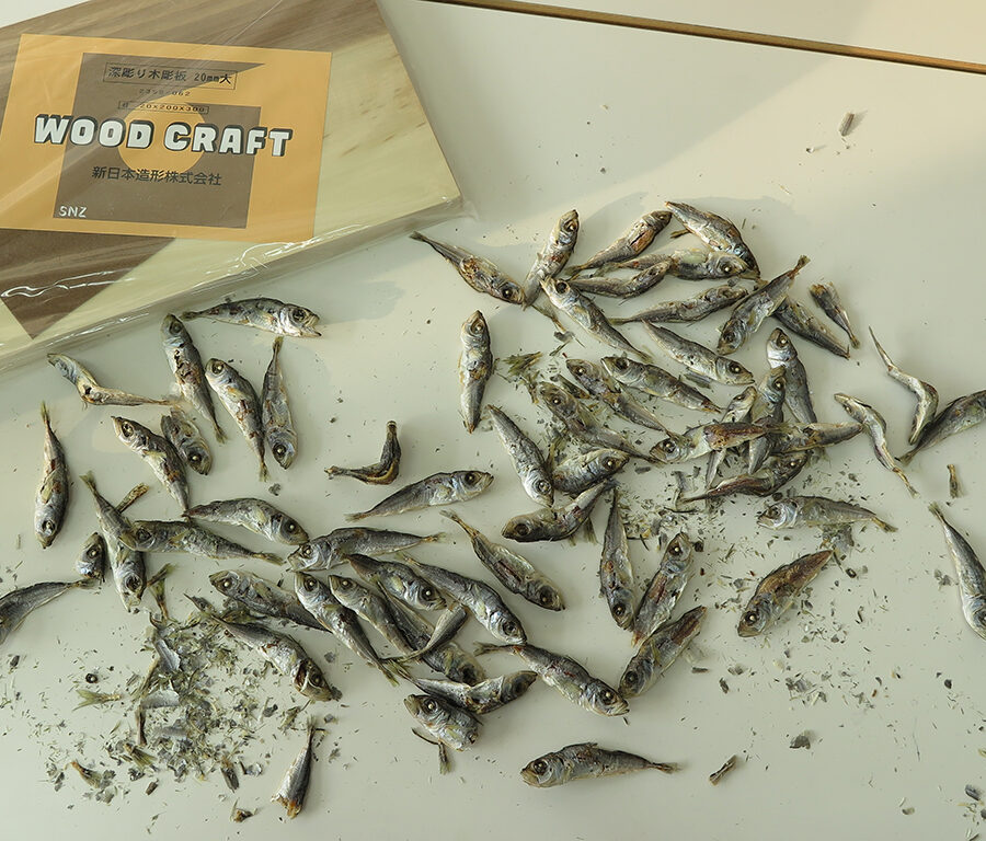 アジの干物を制作中です。