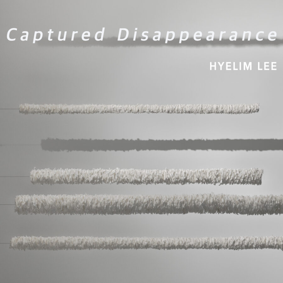 【展覧会】イ・ヘリム副手個展「Captured Disappearance」開催のお知らせ
