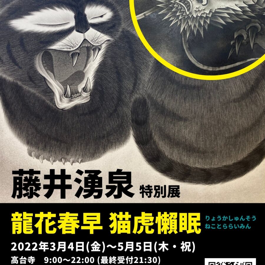 【お知らせ】卒業生の秋丸知貴さんが企画「藤井湧泉――龍花春早 猫虎懶眠」展が開催
